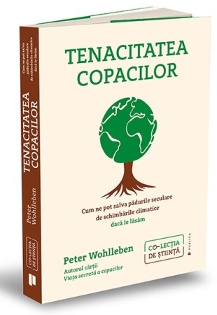 Tenacitatea copacilor Tenacitatea copacilor
