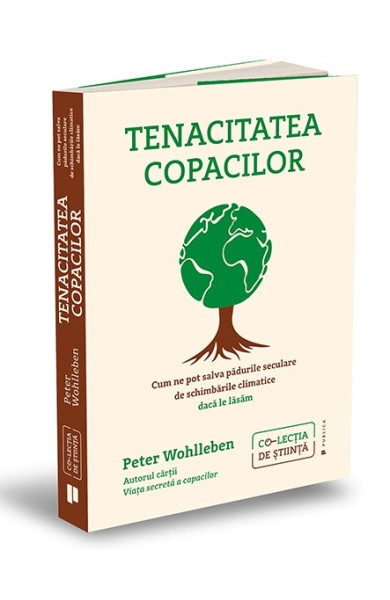 Tenacitatea copacilor Tenacitatea copacilor