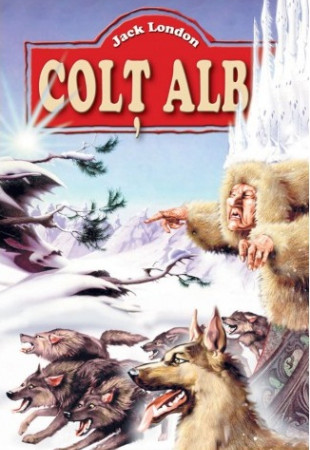 Colt Alb