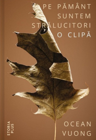 Pe pamant suntem stralucitori o clipa Pe pamant suntem stralucitori o clipa