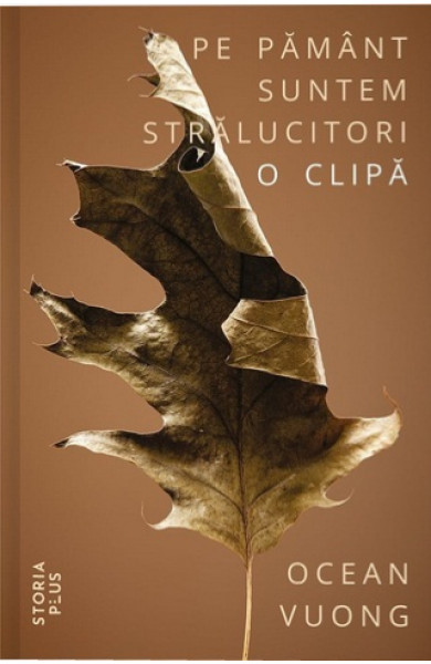 Pe pamant suntem stralucitori o clipa Pe pamant suntem stralucitori o clipa