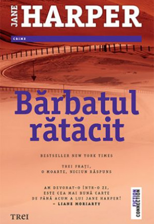 Bărbatul rătăcit Bărbatul rătăcit