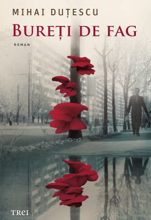 Bureti de fag Bureti de fag