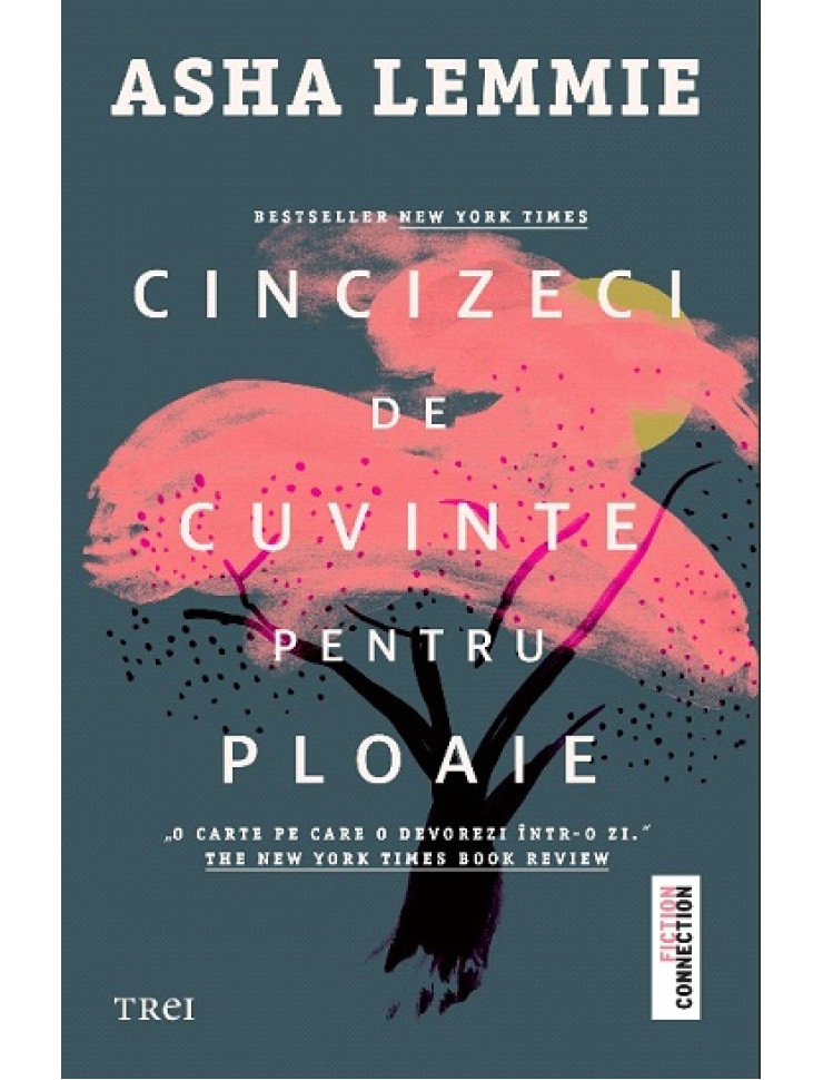 Cincizeci de cuvinte pentru ploaie