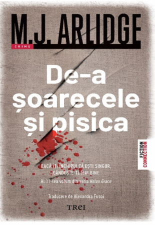 De-a șoarecele și pisica