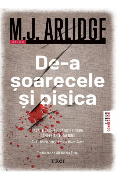 De-a șoarecele și pisica De-a șoarecele și pisica