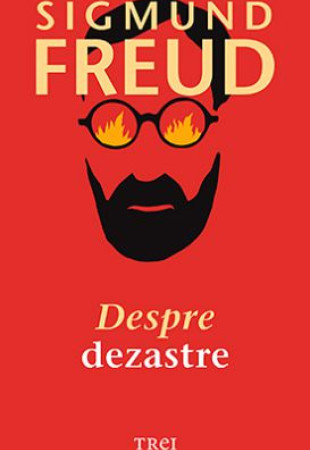 Despre dezastre Despre dezastre