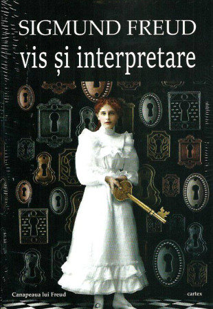 Vis si Interpretare Vis si Interpretare