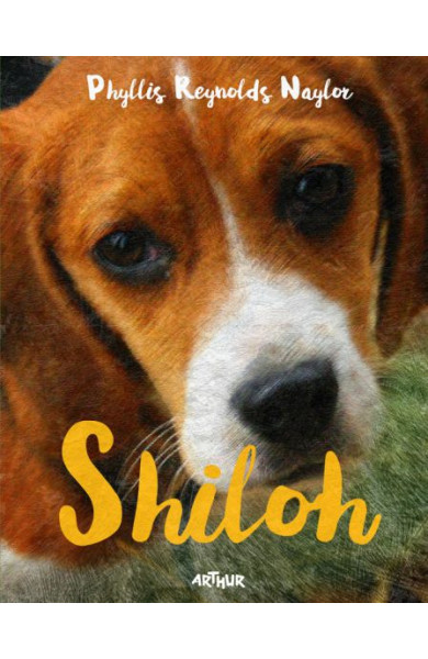 Shiloh Shiloh