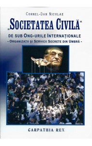 Societatea civila de sub ONG-urile Internationale Societatea civila de sub ONG-urile Internationale