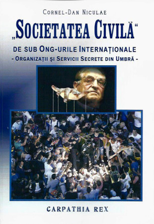 Societatea civila de sub ONG-urile Internationale