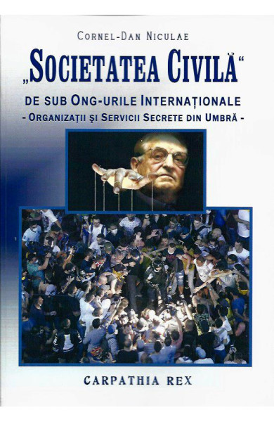 Societatea civila de sub ONG-urile Internationale Societatea civila de sub ONG-urile Internationale