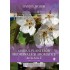 Ghidul plantelor medicinale si aromatice (A - Z)
