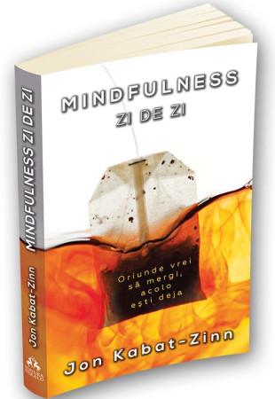 Mindfulness zi de zi Mindfulness zi de zi