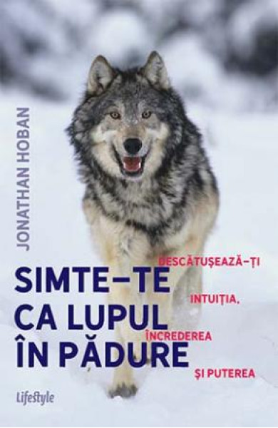 Simte-te ca LUPUL IN PADURE Simte-te ca LUPUL IN PADURE