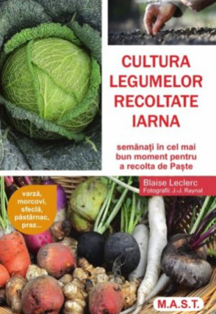 Cultura legumelor recoltate iarna Cultura legumelor recoltate iarna