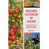 Mulcirea culturilor de legume