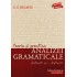 Teoria si Practica Analizei Gramaticale