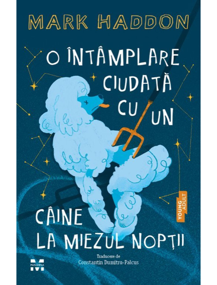O întâmplare ciudată cu un câine la miezul nopţii