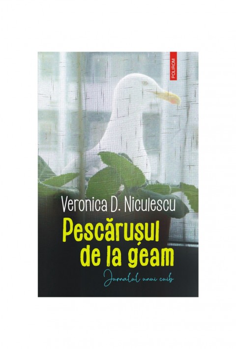 Pescăruşul de la geam