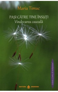 PASI CATRE TINE INSUTI. Vindecarea cauzala PASI CATRE TINE INSUTI. Vindecarea cauzala